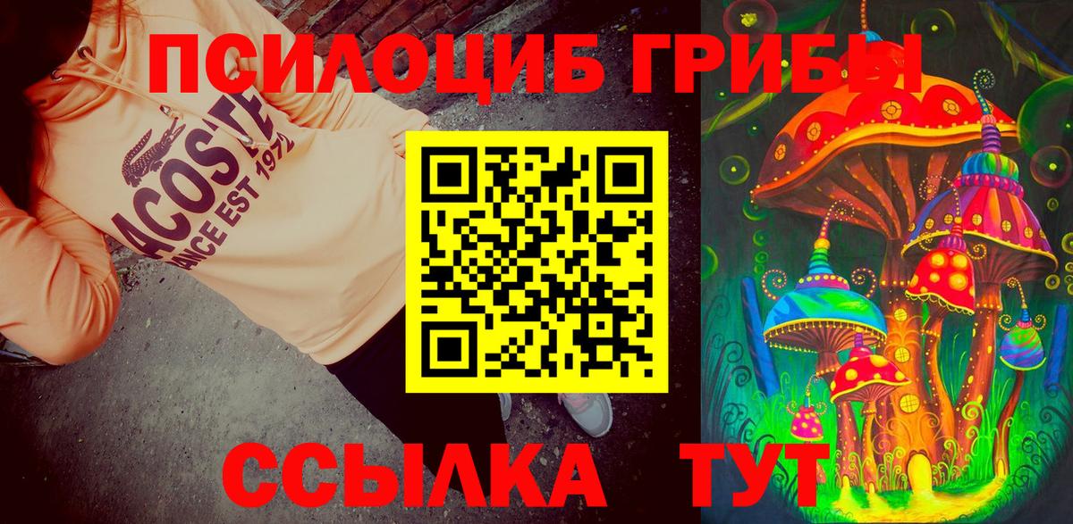 Дзержинский  Псилоцибиновые грибы прущие грибы  Вход с VPN  Псилоцибиновые грибы Cubensis 